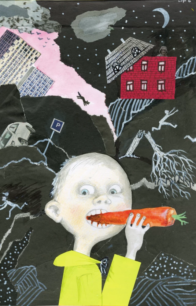 Funny Stories of a Little Boy