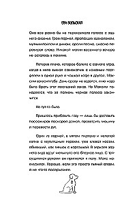 Taxi of Other People's Stories. You Just Need to Find Your True Self Before the Ride Ends