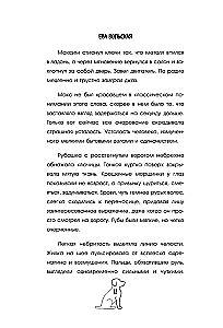 Taxi of Other People's Stories. You Just Need to Find Your True Self Before the Ride Ends