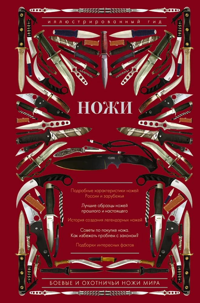 Pasaulio peiliai. Iliustruotas gidas