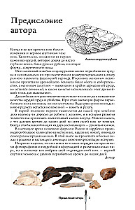 Pasaulio peiliai. Iliustruotas gidas