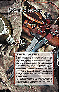 Pasaulio peiliai. Iliustruotas gidas