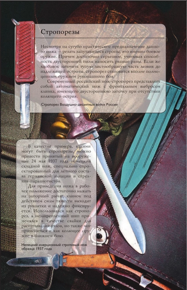 Pasaulio peiliai. Iliustruotas gidas