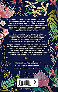 The Secret of the Three Mirrors