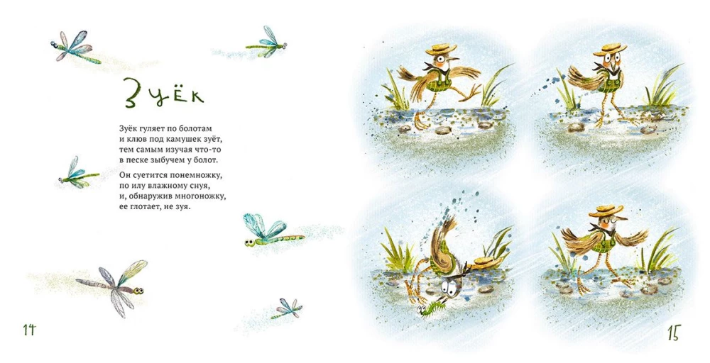 Incidentally about birds