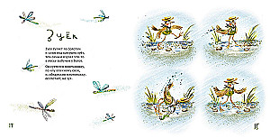 Incidentally about birds