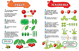 Modeling with Plasticine for Girls