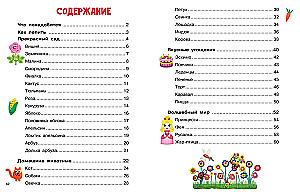 Modeling with Plasticine for Girls