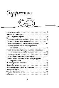 Turkey from the Inside. How do people really live in a country of contrasts at the intersection of religions and cultures? (pocket)