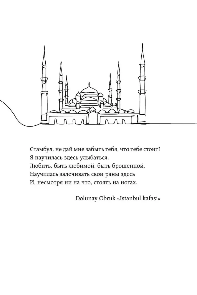 Turkey from the Inside. How do people really live in a country of contrasts at the intersection of religions and cultures? (pocket)