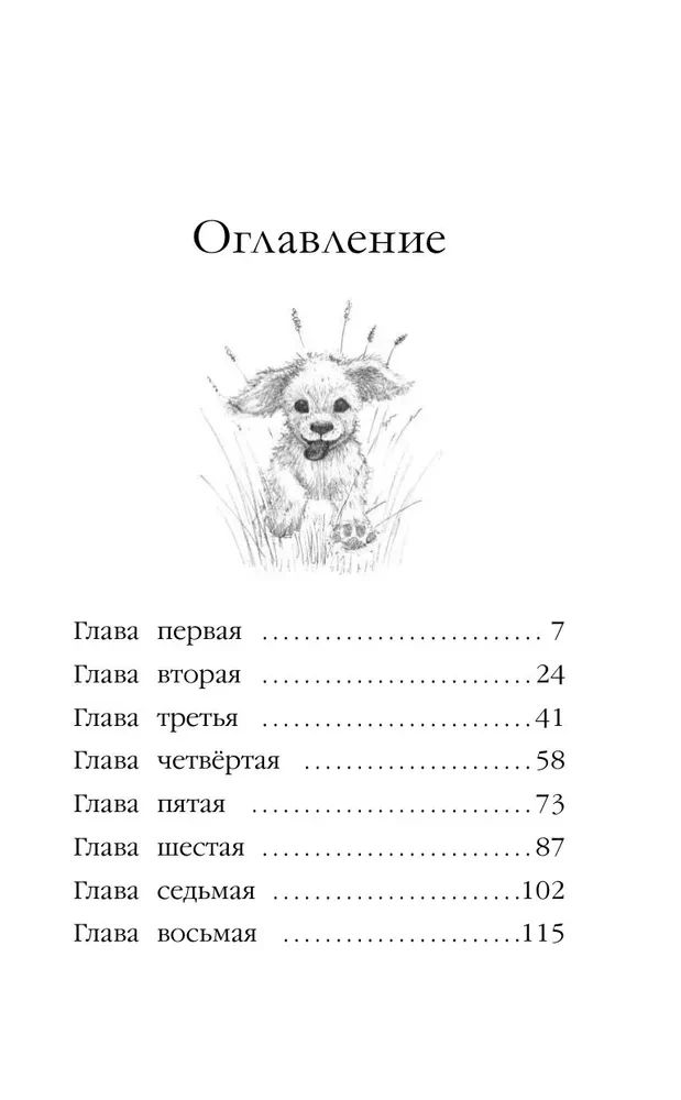 Hanny the Puppy, or Come Back Soon