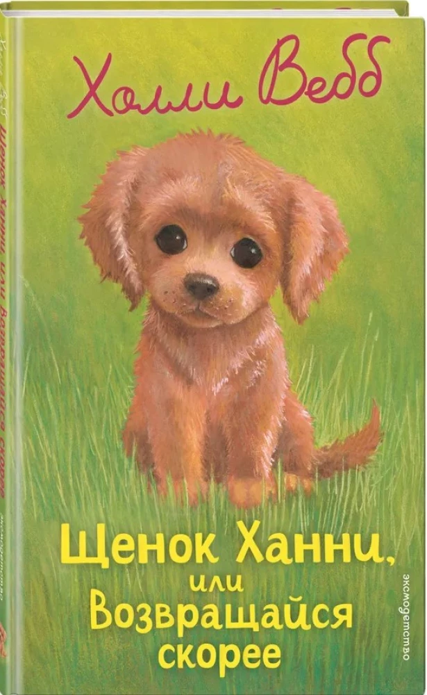 Hanny the Puppy, or Come Back Soon