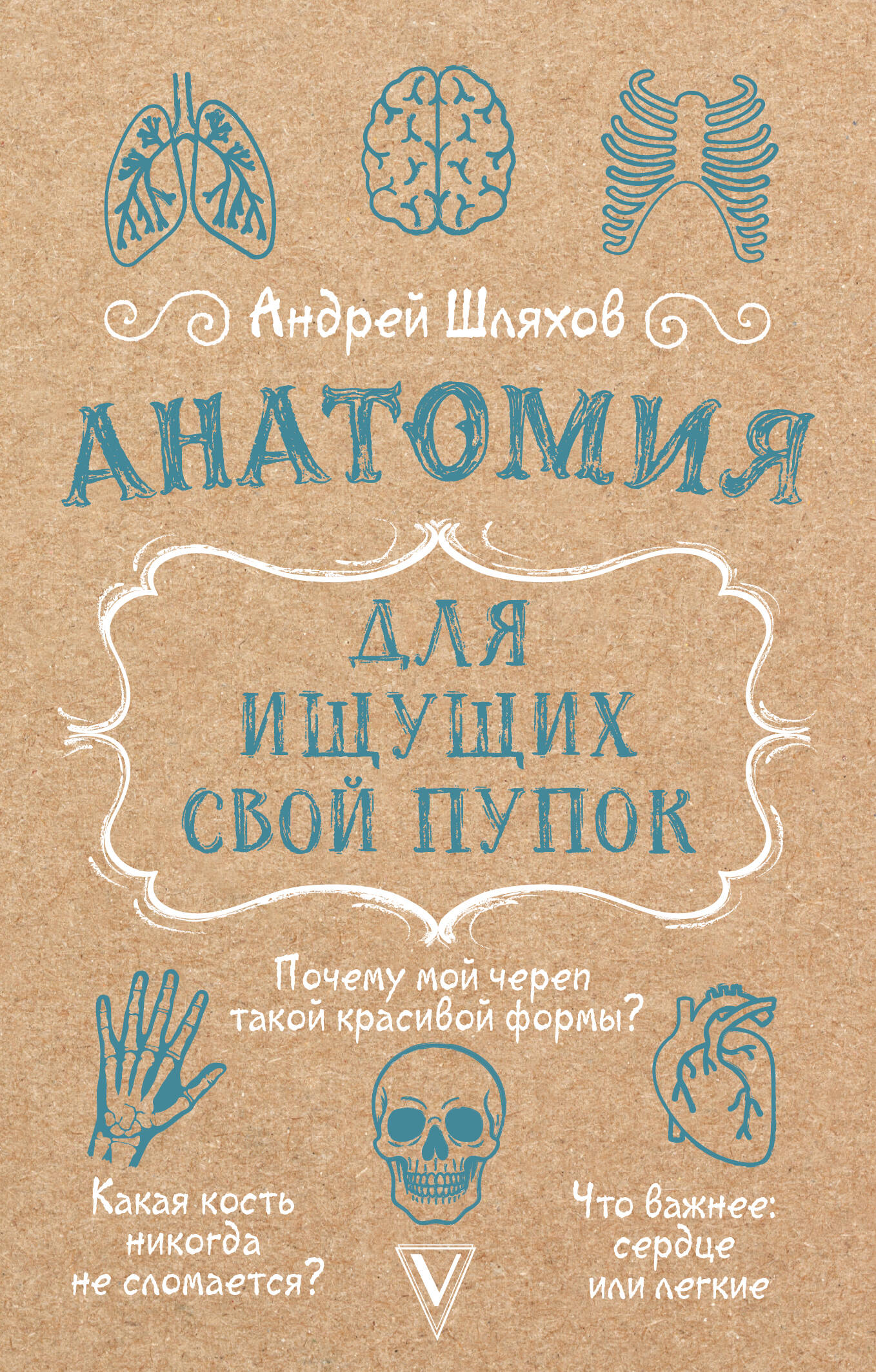 Anatomy for Those Seeking Their Navel