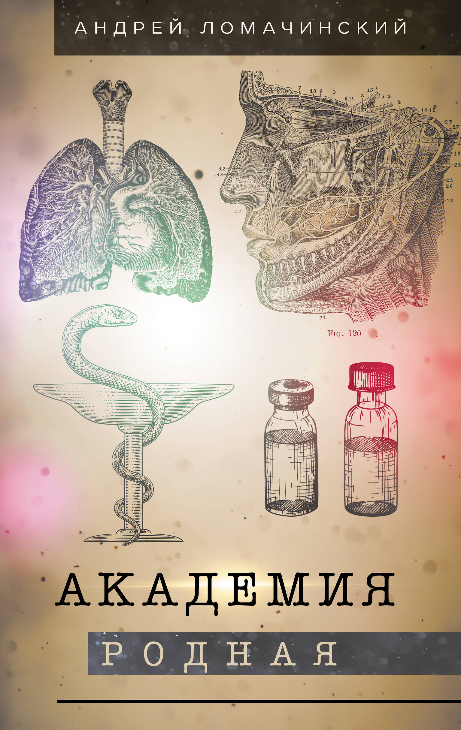 Akadēmija dzimtā