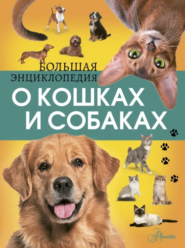 The Big Encyclopedia of Cats and Dogs