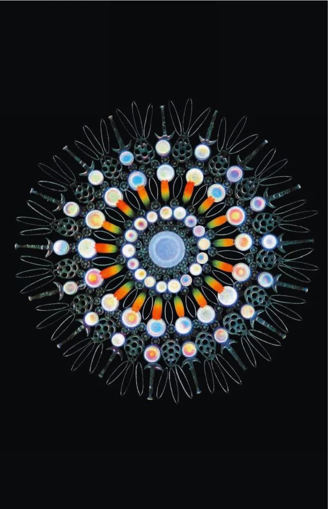 Kosmos. Võimalikud maailmad