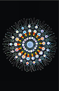 Kosmos. Võimalikud maailmad