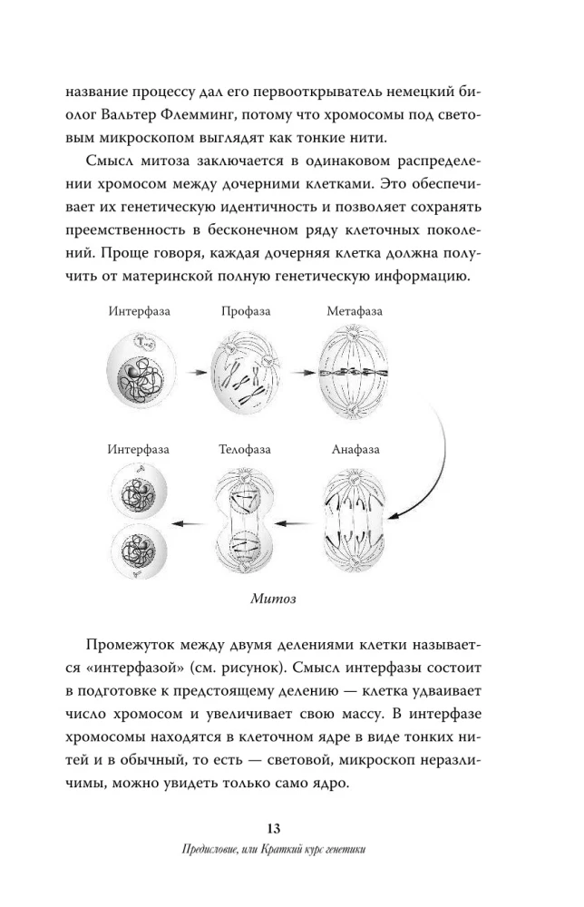 Sinu elu enne sündi: inimese evolutsiooni saladused