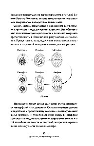 Sinu elu enne sündi: inimese evolutsiooni saladused