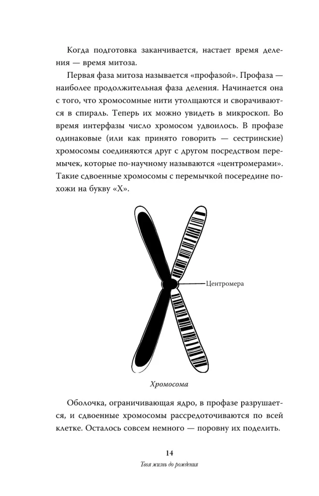 Sinu elu enne sündi: inimese evolutsiooni saladused