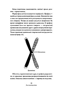 Sinu elu enne sündi: inimese evolutsiooni saladused