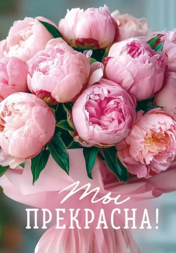 Käkaart - Sa oled kaunis!