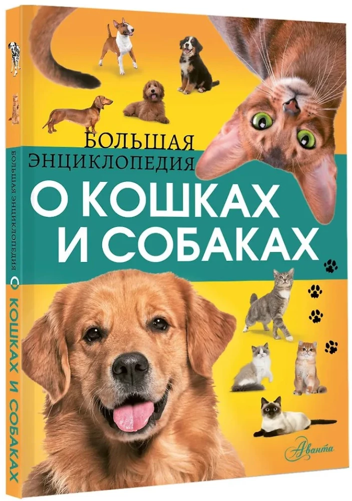 The Big Encyclopedia of Cats and Dogs