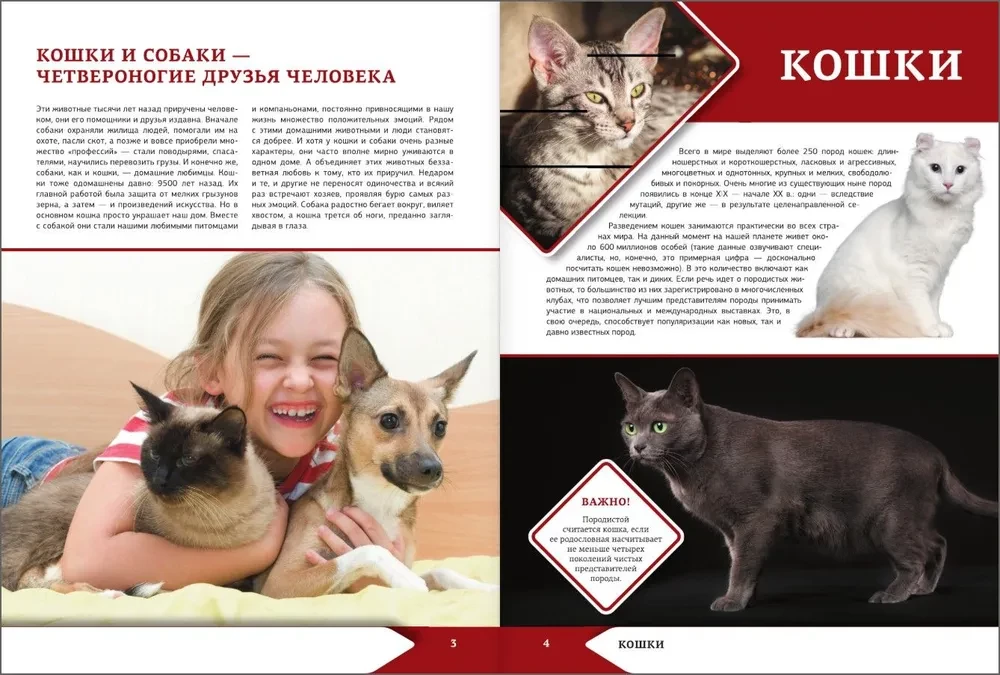 The Big Encyclopedia of Cats and Dogs
