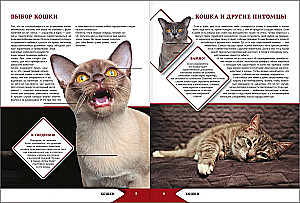 The Big Encyclopedia of Cats and Dogs