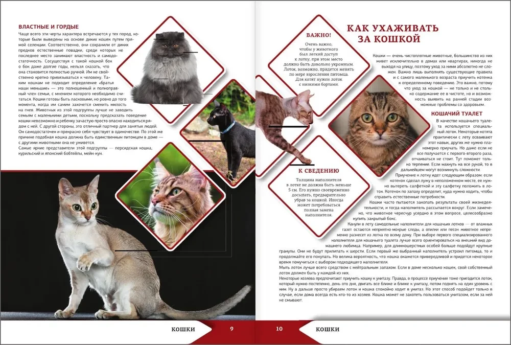 The Big Encyclopedia of Cats and Dogs