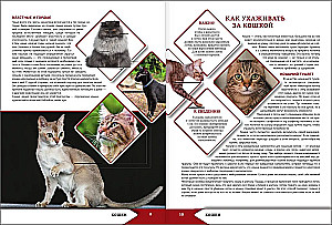 The Big Encyclopedia of Cats and Dogs