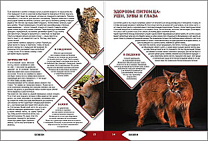 The Big Encyclopedia of Cats and Dogs