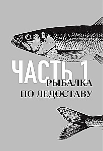 Everything about winter fishing