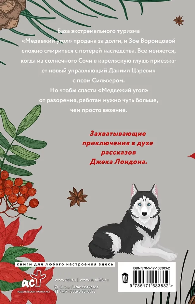 Зима, любовь, экстрим и хаски