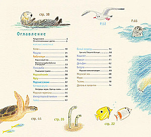 Рисуем милых водных животных