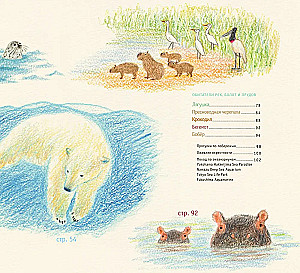 Рисуем милых водных животных