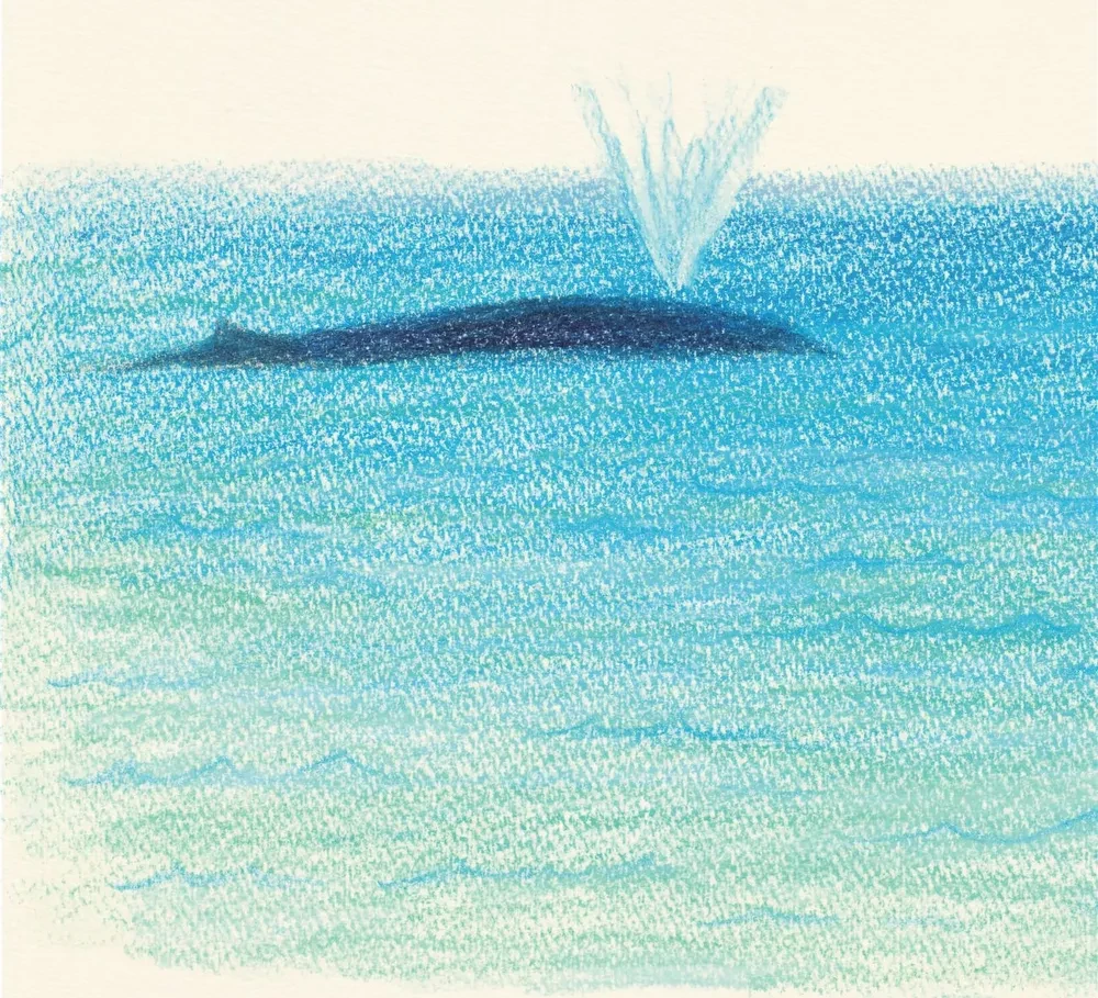 Рисуем милых водных животных