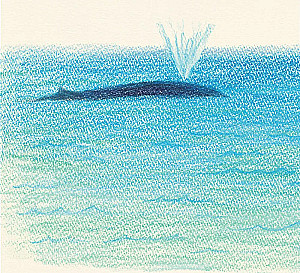 Рисуем милых водных животных