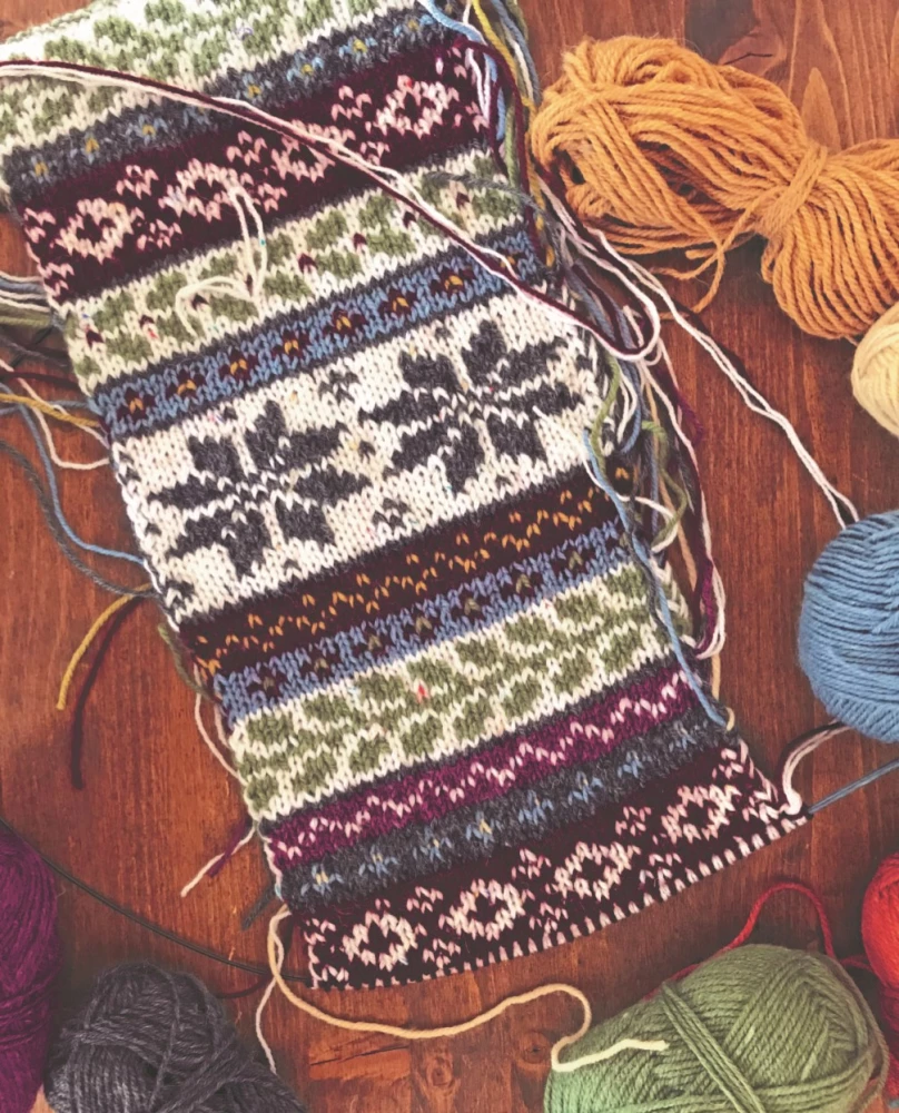 Two sides of color. Double-sided knitting with needles. Patterns, techniques, projects