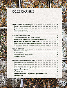 Кактусы. Колючая правда