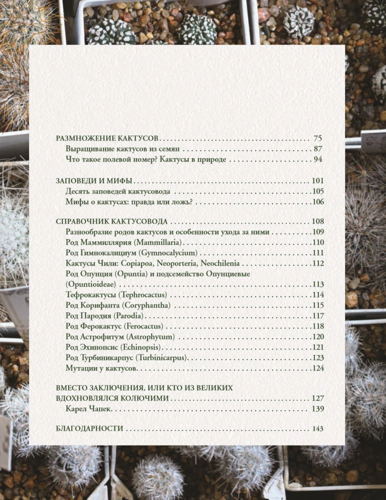 Кактусы. Колючая правда