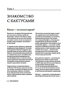 Кактусы. Колючая правда