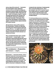 Кактусы. Колючая правда