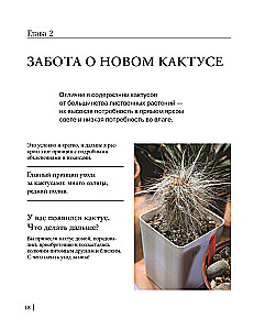 Кактусы. Колючая правда