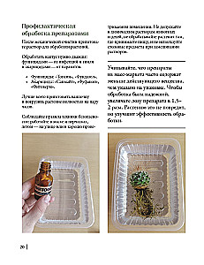 Кактусы. Колючая правда