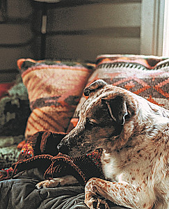 Wilde Interieurs. Gemütliches norwegisches Stricken für Abenteuerliebhaber