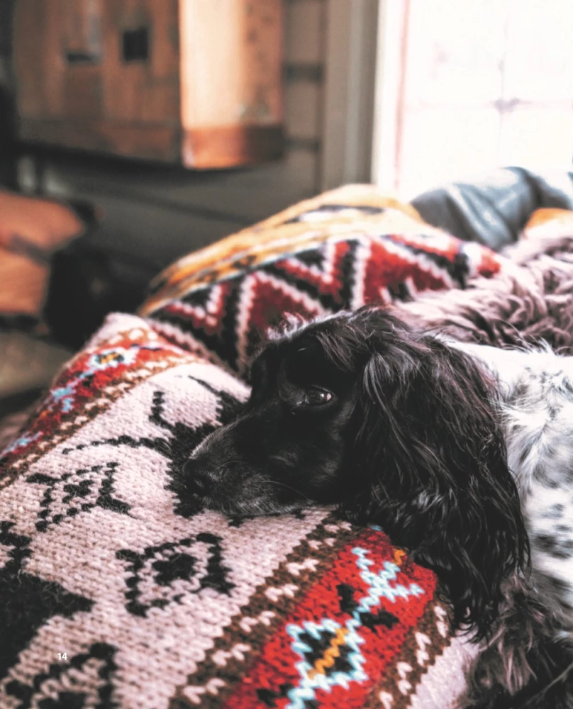 Wilde Interieurs. Gemütliches norwegisches Stricken für Abenteuerliebhaber