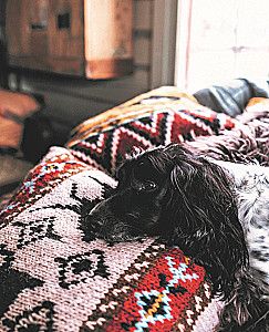 Wilde Interieurs. Gemütliches norwegisches Stricken für Abenteuerliebhaber