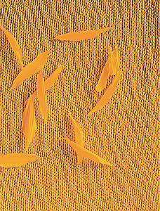 WSZYSTKO JEST POŁĄCZONE. Bezszwowe dzianie na drutach idealnie dopasowanej odzieży z dowolnej włóczki, w każdym rozmiarze.