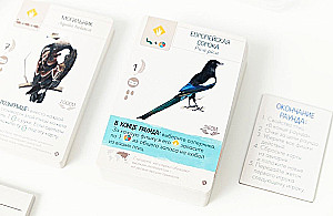 Board Game - Wings. Birds of Europe (expansion)